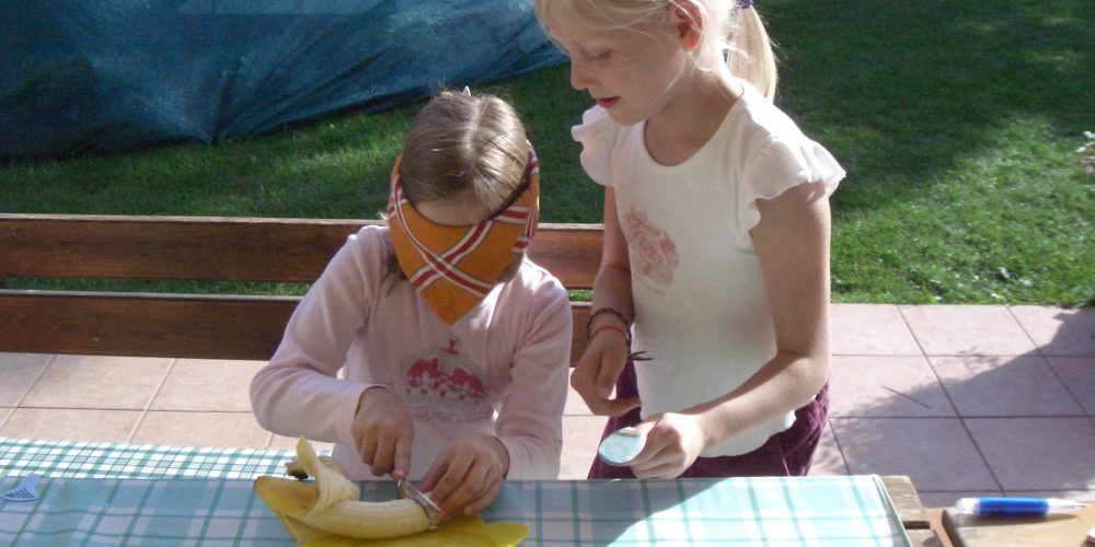 Miniaturansicht-Eintrag